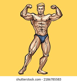 Bodybuilder muscle man fitness posing Colored Hand Drawing Vector Illustration 