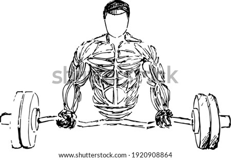 Bodybuilder out vector. Muscular bodybuilder guy standing on gym and posing triceps muscle.