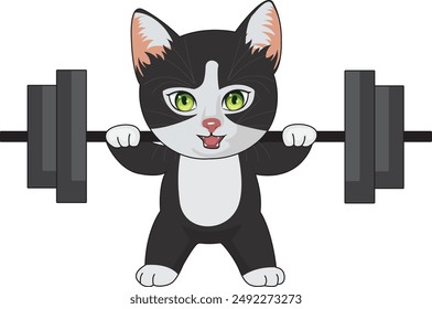 Bodybuilding cat lifting barbell. Cartoon cat illustration