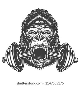 Bodybuilding concept with gorilla and cracked dumbell. Vector illustration.