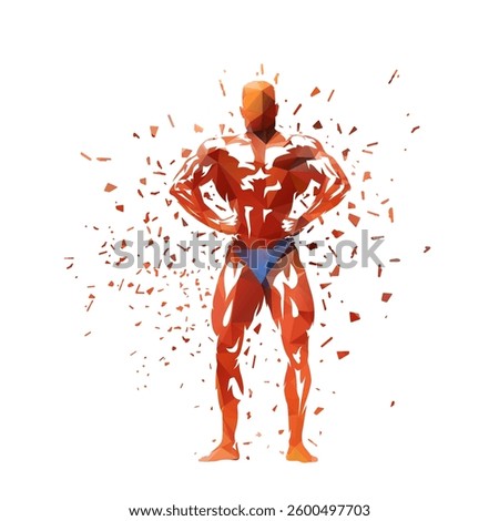 Bodybuilding, posing bodybuilder, isolated low poly vector illustration with dispersion effect. Sports clip art