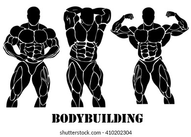 Bodybuilding, power lifting concept in flat style on white background
