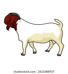 Boer goat buck, a breed of goat that was developed in South Africa in the early 1900s and is a popular breed for meat and milk production, with its typical beard brown and white body and curved horns