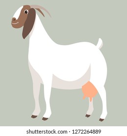 boer goat , vector illustration , flat style ,profile view