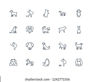 Boerboel dog, American Hairless Terrier Maltipoo, Nova Scotia Duck Tolling Retriever Great Pyrenees Chihuahua Pomeranian dog outline vector icons from 20 set