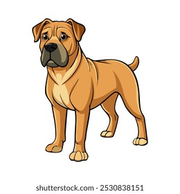 Boerboel dog breed vector illustration isolated on white background in cartoon style.