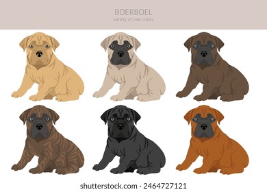 Boerboel puppy clipart. Different coat colors and poses set.  Vector illustration