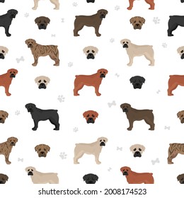 Boerboel seamless pattern. Different coat colors and poses set.  Vector illustration