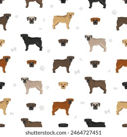 Boerboel seamless pattern. Different coat colors and poses set.  Vector illustration