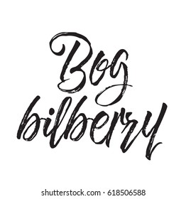 bog bilberry, text design. Vector calligraphy. Typography poster. Usable as background.
