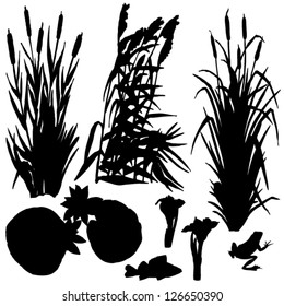 bog plants silhouettes