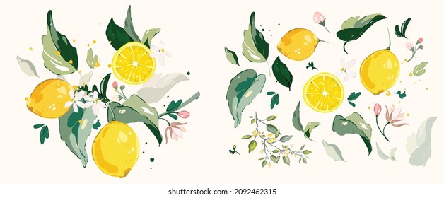 Bog vector Set of lemon branch. Flower, green leaves. fruit and splashing juice. arrangements 