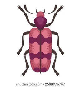 Besouro bogueiro, vinoso e inseto rosa. Inseto colorido. Espécie de inseto da natureza e biodiversidade. Ilustração plana do vetor do besouro.