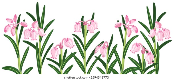 bog-rosemary, forest flowers, Andromeda polifolia, vector drawing wild plants at white background, floral element, hand drawn botanical illustration