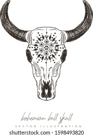 Bohemian bull skull hand drawn illustration