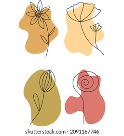 Bohemian Flowers Shapes Color Pallet Vector Illustration Splash Abstract 