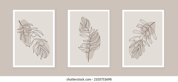 Bohemian olive branch vector. Olives with leaves in a linear style. Boho Logo nature, field plants illustration for wall art