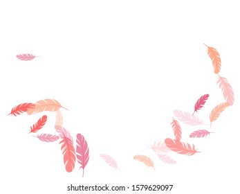 Bohemian pink flamingo feathers vector background. Falling feather elements soft vector design. Bird wing plumage boho line art. Smooth plumelet tribal ornate graphics.