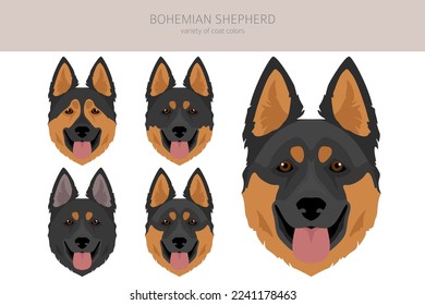 Bohemian Shepherd dog clipart. All coat colors set.  Different position. All dog breeds characteristics infographic. Vector illustration