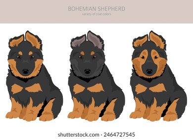 Bohemian Shepherd Hund Welpen Clipart. Alle Fellfarben gesetzt.  Andere Position. Alle Hunderassen Eigenschaften Infografik. Vektorillustration