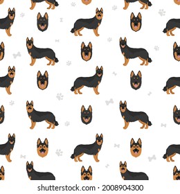 Bohemian shepherd seamless pattern. Different coat colors and poses set.  Vector illustration