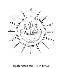 Bohemian Sun Moon Lotus. Ancient Amulet. Symbol Of Divine Power. Hand Drawn Vector Illustration.