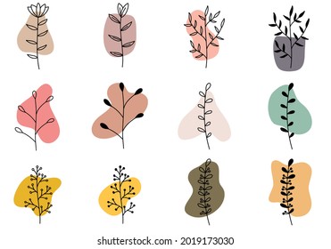 Boho Abstract Shape and Plant