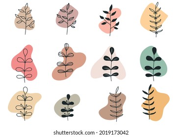 Boho Abstract Shape and Plant