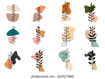 Boho Abstract Shape and Plant