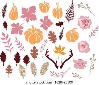 Boho autumn vector elements: pumpkins, leaves, branches, feathers, horns, roses