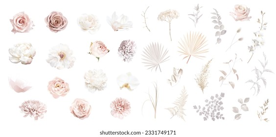 Flores de diseño vectorial de moda boho beige y ruidoso. Pastel de pampas pasto, marfil peony, orquídea, dahlia, ranunculus, rosa rosada polvorienta, lagurus, hoja seca. Boda floral.Los elementos son aislados y editables