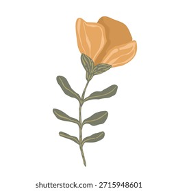 Colección botánica boho con flores y hojas estilizadas, Ilustración vectorial dibujada a mano. Elementos florales minimalistas en estilo escandinavo aislados sobre fondo blanco para el diseño