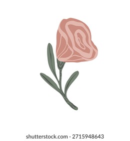 Colección botánica boho con flores y hojas estilizadas, Ilustración vectorial dibujada a mano. Elementos florales minimalistas en estilo escandinavo aislados sobre fondo blanco para el diseño