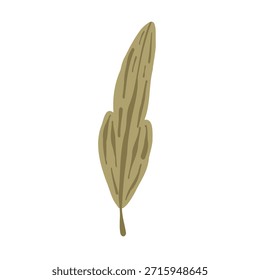 Colección botánica boho con flores y hojas estilizadas, Ilustración vectorial dibujada a mano. Elementos florales minimalistas en estilo escandinavo aislados sobre fondo blanco para diseño de vivero.
