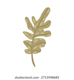 Colección botánica boho con flores y hojas estilizadas, Ilustración vectorial dibujada a mano. Elementos florales minimalistas en estilo escandinavo aislados sobre fondo blanco para diseño de vivero.