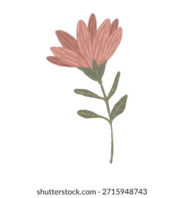 Colección botánica boho con flores y hojas estilizadas, Ilustración vectorial dibujada a mano. Elementos florales minimalistas en estilo escandinavo aislados sobre fondo blanco para el diseño
