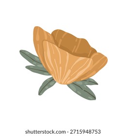 Colección botánica boho con flores y hojas estilizadas, Ilustración vectorial dibujada a mano. Elementos florales minimalistas en estilo escandinavo aislados sobre fondo blanco para el diseño