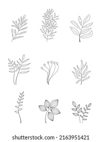 Boho Zweig Vektor Set in Linie Art Stil. Botanische Wandkunst abstrakte Vektorgrafiken.  Ethnische Stammespflanze in handgezeichnet Stil mit böhmischen Ornament für Wappenpapier, Tapete, Textilien, Logo, Stoff. 