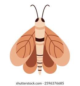 Boho butterfly clipart. Cute tropical character in cartoon flat style. Hand drawn vector illustration.