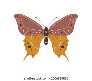 Boho butterfly. Insect with celestial elements. Witch and magic symbol. Abstract hand drawn moth. Vector illustration in bohemian style.
