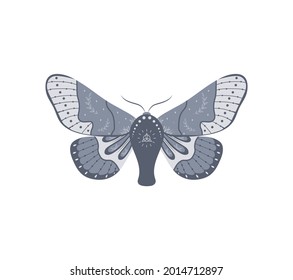 Boho butterfly. Insect with celestial elements. Witch and magic symbol. Abstract hand drawn moth. Vector illustration in bohemian style.