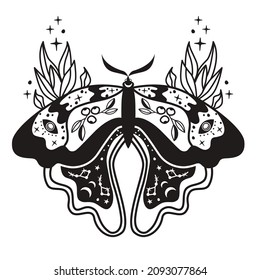 Boho butterfly line vector set. Beautiful moth vector illustration, celestial element illustration. Vector, illustration.