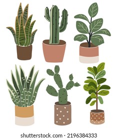 Colección de cactus boho, conjunto de cactus tropicales, conjunto de vectores vegetales imprimibles, elementos botánicos