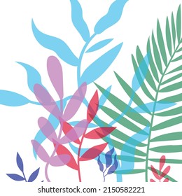 Boho design. Abstraction. Figures of balance, plants, nature