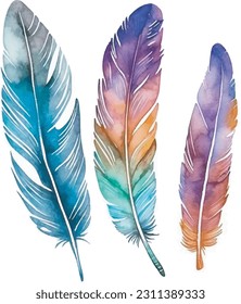 Boho Detailed Watercolor Feather Sets Hand Painted Elegant