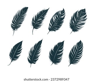 Boho feathers set.  Hand drawn vintage design elements for print, tattoo, spiritual relaxation, witchcraft, polygraphy. Vector illustration.