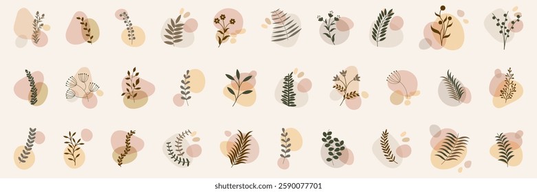 Boho floral branch collection with abstract fluid shapes