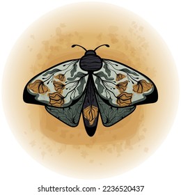 Boho Floral Butterfly Moth Insekt Detaillierte Vektorgrafik 02