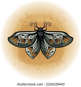 Boho Floral Butterfly Moth Insect Detailed Vector Illustration 15