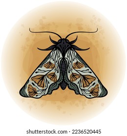 Boho Floral Butterfly Moth Insect Detailed Vector Illustration 03